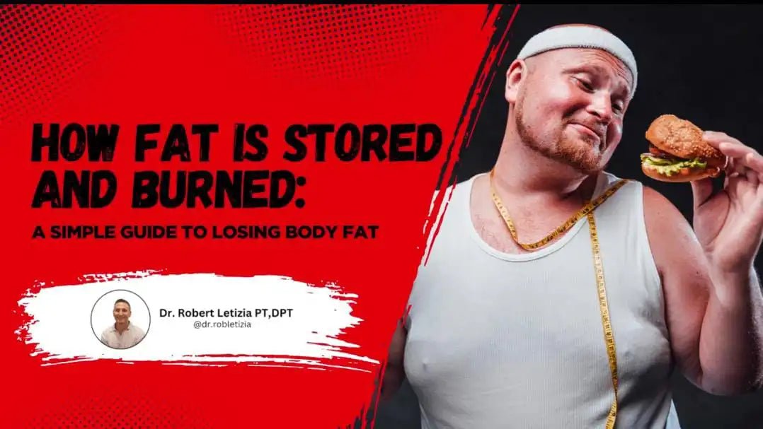 Fat storage and burn guide for weight loss