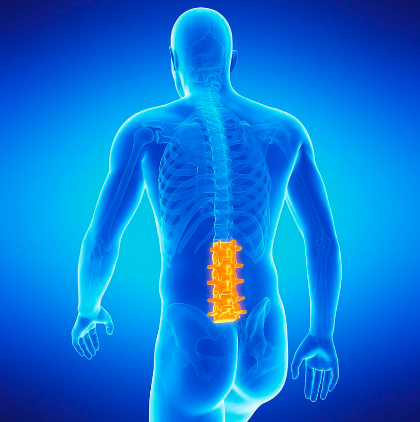 spectrum therapy NJ
