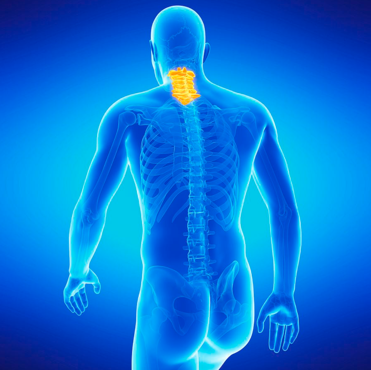 Injury Prevention in Wayne, NJ