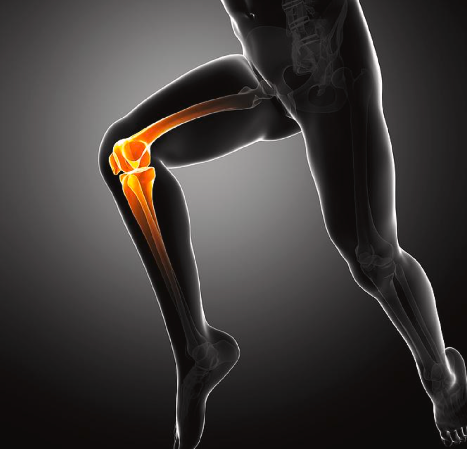 spectrum physical therapy