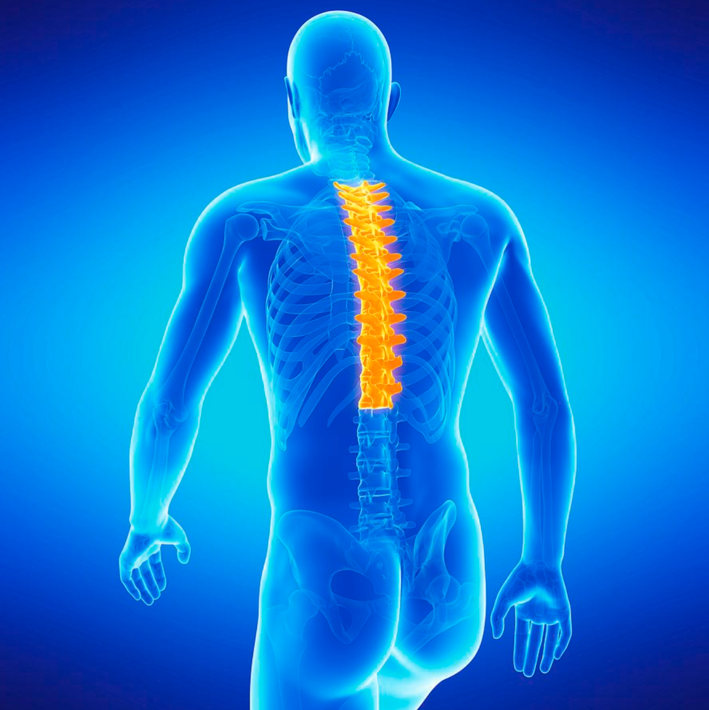 Licensed physical therapist in Wayne NJ